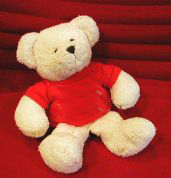Der Teddy